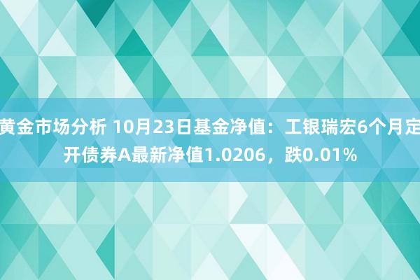 黄金市场分析 10月23日基金净值：工银瑞宏6个月定开债券A最新净值1.0206，跌0.01%