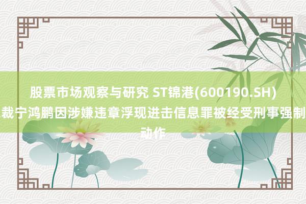 股票市场观察与研究 ST锦港(600190.SH)副总裁宁鸿鹏因涉嫌违章浮现进击信息罪被经受刑事强制动作