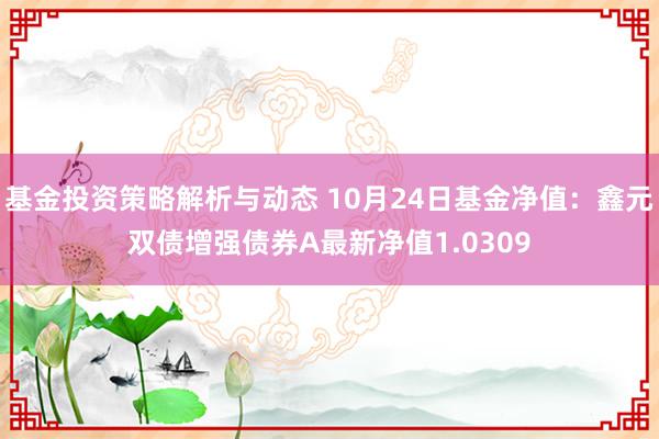 基金投资策略解析与动态 10月24日基金净值：鑫元双债增强债券A最新净值1.0309