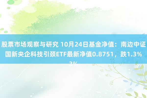 股票市场观察与研究 10月24日基金净值：南边中证国新央企科技引颈ETF最新净值0.8751，跌1.3%