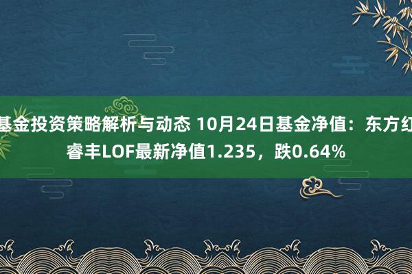 基金投资策略解析与动态 10月24日基金净值：东方红睿丰LOF最新净值1.235，跌0.64%