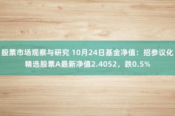 股票市场观察与研究 10月24日基金净值：招参议化精选股票A最新净值2.4052，跌0.5%