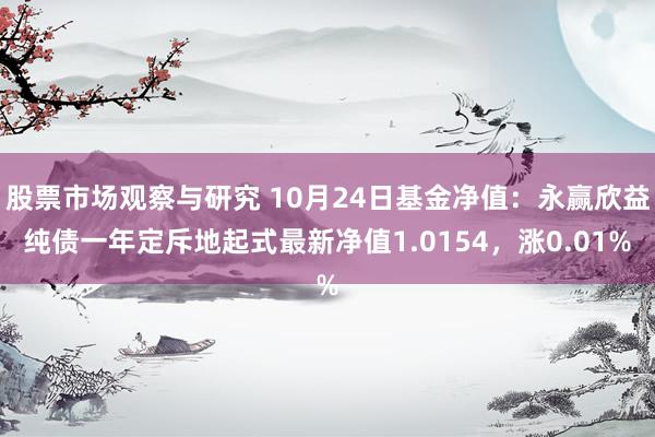 股票市场观察与研究 10月24日基金净值：永赢欣益纯债一年定斥地起式最新净值1.0154，涨0.01%