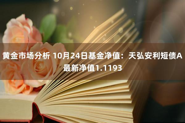 黄金市场分析 10月24日基金净值：天弘安利短债A最新净值1.1193