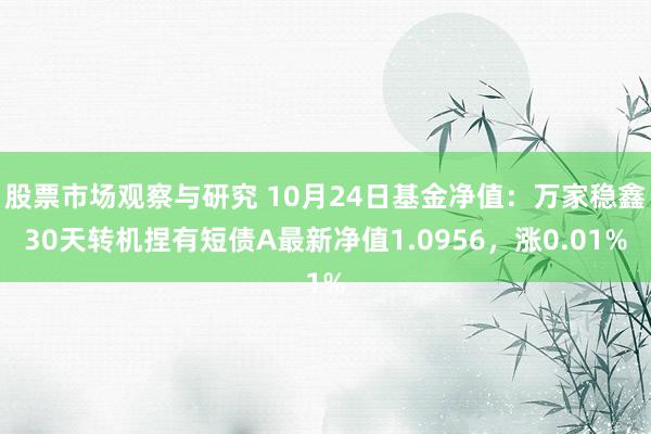 股票市场观察与研究 10月24日基金净值：万家稳鑫30天转机捏有短债A最新净值1.0956，涨0.01%