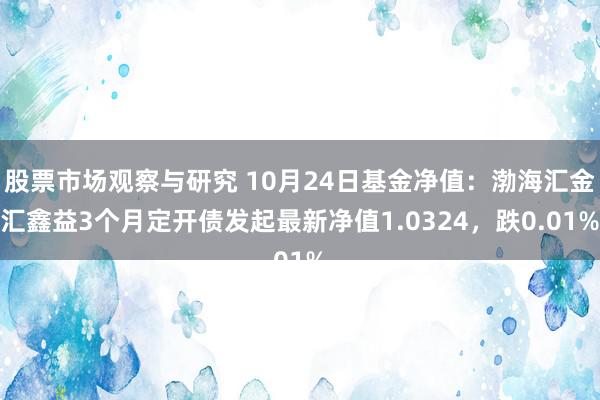 股票市场观察与研究 10月24日基金净值：渤海汇金汇鑫益3个月定开债发起最新净值1.0324，跌0.01%