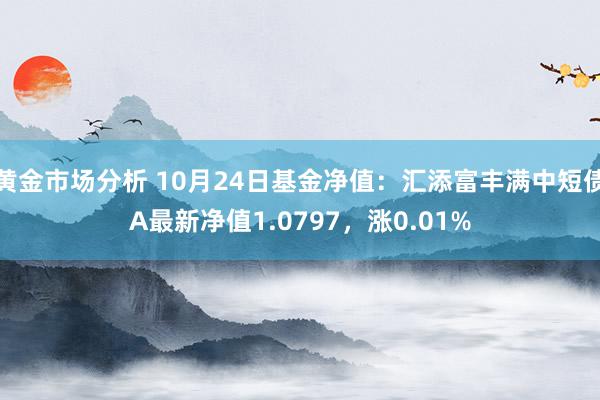 黄金市场分析 10月24日基金净值：汇添富丰满中短债A最新净值1.0797，涨0.01%