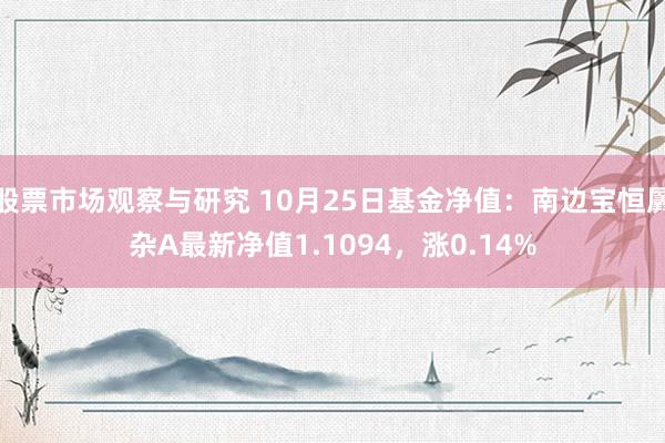 股票市场观察与研究 10月25日基金净值：南边宝恒羼杂A最新净值1.1094，涨0.14%