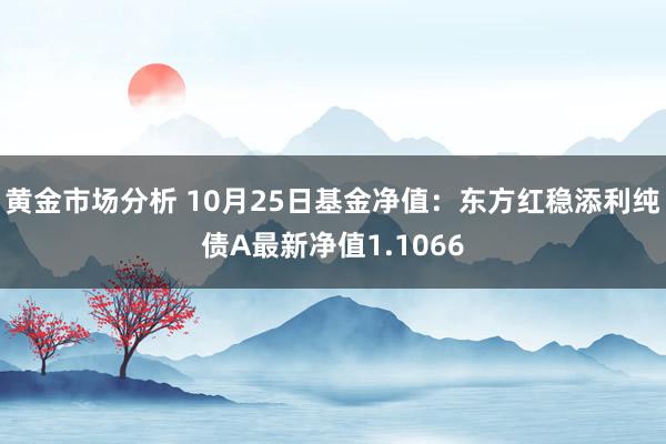 黄金市场分析 10月25日基金净值：东方红稳添利纯债A最新净值1.1066