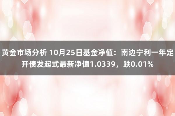 黄金市场分析 10月25日基金净值：南边宁利一年定开债发起式最新净值1.0339，跌0.01%