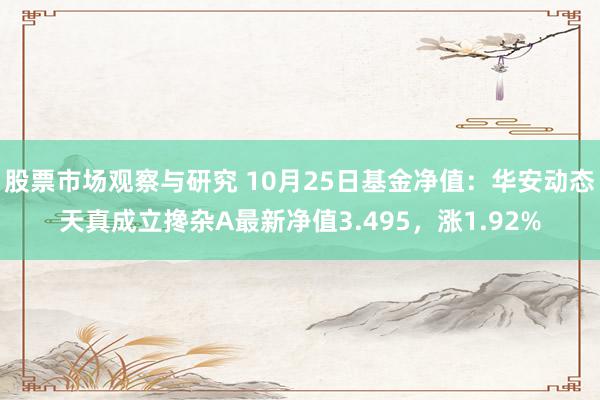 股票市场观察与研究 10月25日基金净值：华安动态天真成立搀杂A最新净值3.495，涨1.92%