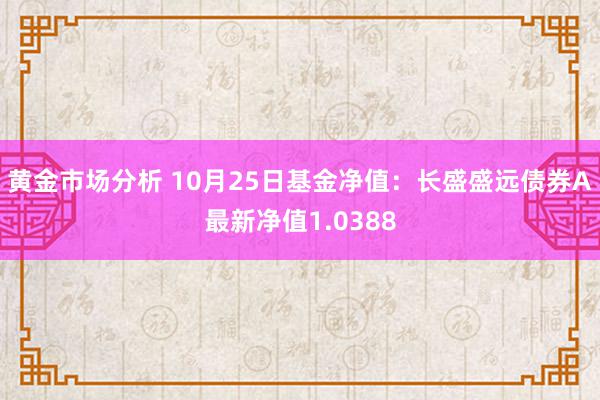 黄金市场分析 10月25日基金净值：长盛盛远债券A最新净值1.0388