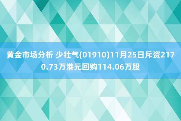 黄金市场分析 少壮气(01910)11月25日斥资2170.73万港元回购114.06万股