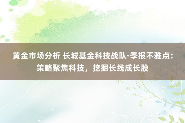 黄金市场分析 长城基金科技战队·季报不雅点：策略聚焦科技，挖掘长线成长股