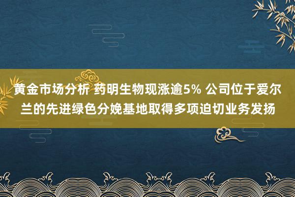 黄金市场分析 药明生物现涨逾5% 公司位于爱尔兰的先进绿色分娩基地取得多项迫切业务发扬