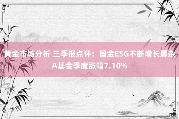 黄金市场分析 三季报点评：国金ESG不断增长羼杂A基金季度涨幅7.10%