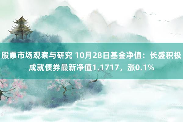 股票市场观察与研究 10月28日基金净值：长盛积极成就债券最新净值1.1717，涨0.1%