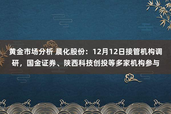 黄金市场分析 晨化股份：12月12日接管机构调研，国金证券、陕西科技创投等多家机构参与