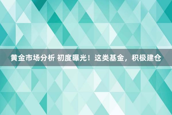 黄金市场分析 初度曝光！这类基金，积极建仓