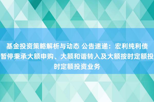 基金投资策略解析与动态 公告速递：宏利纯利债券基金暂停秉承大额申购、大额和谐转入及大额按时定额投资业务