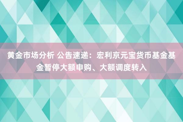 黄金市场分析 公告速递：宏利京元宝货币基金基金暂停大额申购、大额调度转入