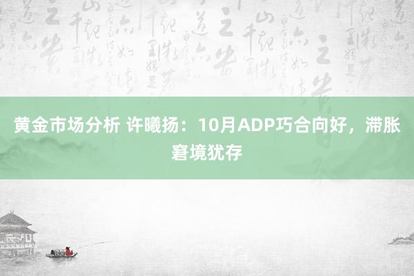 黄金市场分析 许曦扬：10月ADP巧合向好，滞胀窘境犹存