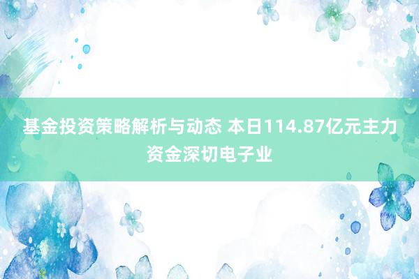 基金投资策略解析与动态 本日114.87亿元主力资金深切电子业