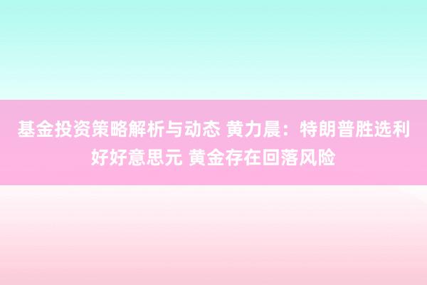 基金投资策略解析与动态 黄力晨：特朗普胜选利好好意思元 黄金存在回落风险