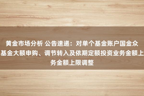 黄金市场分析 公告速递：对单个基金账户国金众赢货币基金大额申购、调节转入及依期定额投资业务金额上限调整