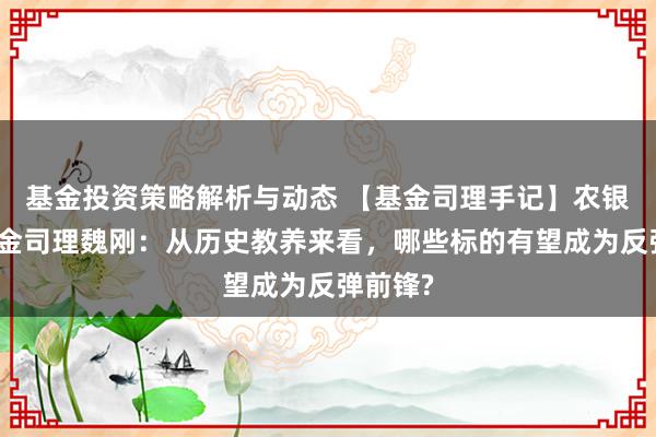 基金投资策略解析与动态 【基金司理手记】农银汇理基金司理魏刚：从历史教养来看，哪些标的有望成为反弹前锋?