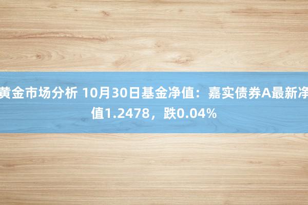 黄金市场分析 10月30日基金净值：嘉实债券A最新净值1.2478，跌0.04%