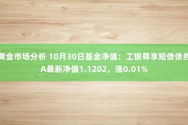 黄金市场分析 10月30日基金净值：工银尊享短债债券A最新净值1.1202，涨0.01%