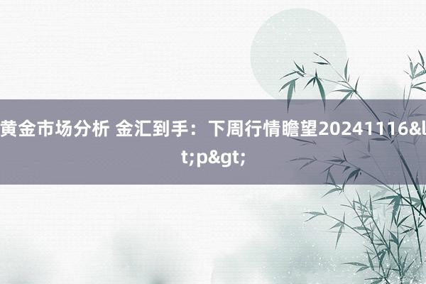 黄金市场分析 金汇到手：下周行情瞻望20241116<p>