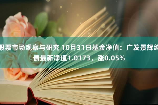 股票市场观察与研究 10月31日基金净值：广发景辉纯债最新净值1.0173，涨0.05%