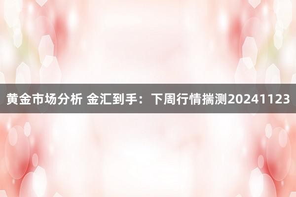 黄金市场分析 金汇到手：下周行情揣测20241123