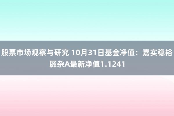 股票市场观察与研究 10月31日基金净值：嘉实稳裕羼杂A最新净值1.1241