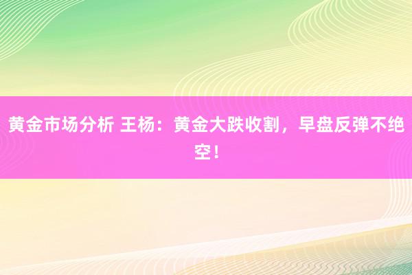 黄金市场分析 王杨：黄金大跌收割，早盘反弹不绝空！