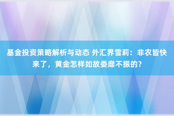 基金投资策略解析与动态 外汇界雪莉：非农皆快来了，黄金怎样如故委靡不振的？