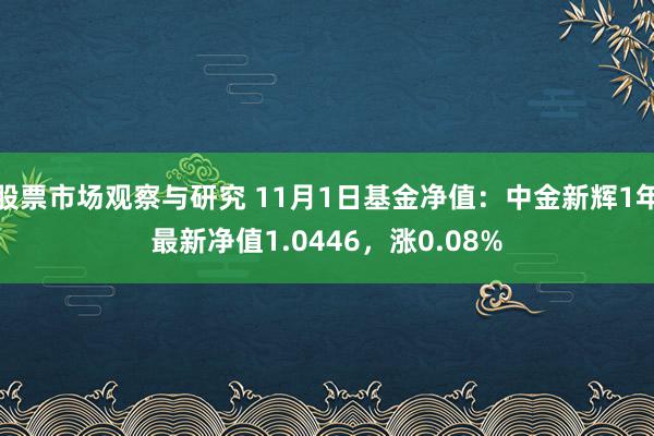 股票市场观察与研究 11月1日基金净值：中金新辉1年最新净值1.0446，涨0.08%