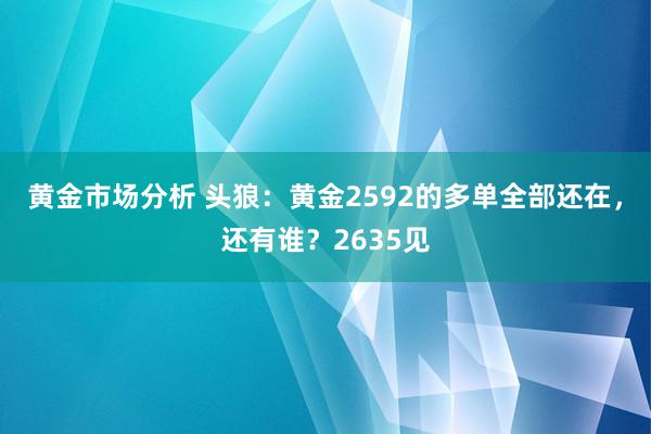 黄金市场分析 头狼：黄金2592的多单全部还在，还有谁？2635见