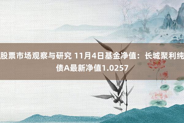 股票市场观察与研究 11月4日基金净值：长城聚利纯债A最新净值1.0257