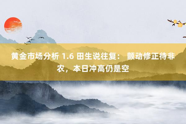 黄金市场分析 1.6 田生说往复： 颤动修正待非农，本日冲高仍是空