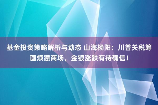 基金投资策略解析与动态 山海杨阳：川普关税筹画烦懑商场，金银涨跌有待确信！