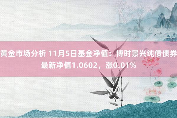 黄金市场分析 11月5日基金净值：博时景兴纯债债券最新净值1.0602，涨0.01%