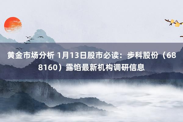 黄金市场分析 1月13日股市必读：步科股份（688160）露馅最新机构调研信息