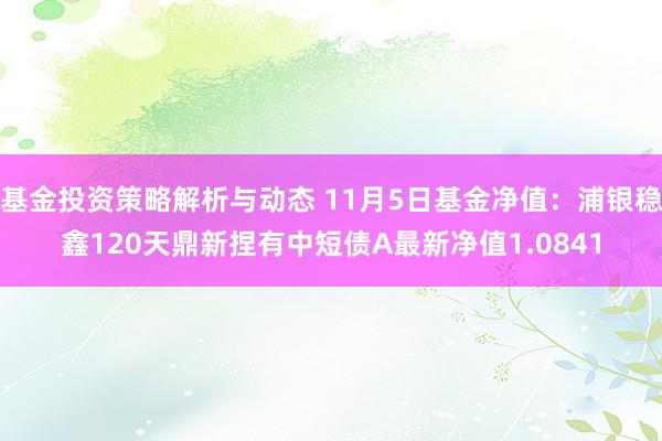 基金投资策略解析与动态 11月5日基金净值：浦银稳鑫120天鼎新捏有中短债A最新净值1.0841