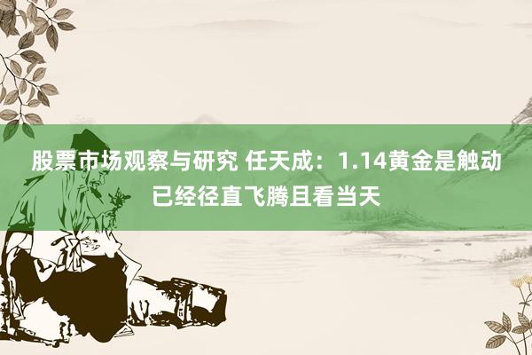 股票市场观察与研究 任天成：1.14黄金是触动已经径直飞腾且看当天