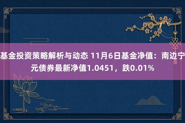 基金投资策略解析与动态 11月6日基金净值：南边宁元债券最新净值1.0451，跌0.01%