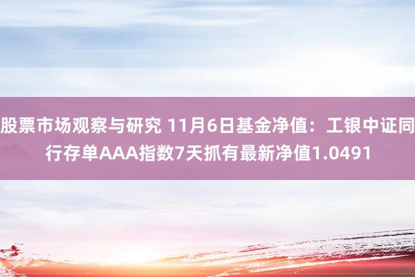 股票市场观察与研究 11月6日基金净值：工银中证同行存单AAA指数7天抓有最新净值1.0491