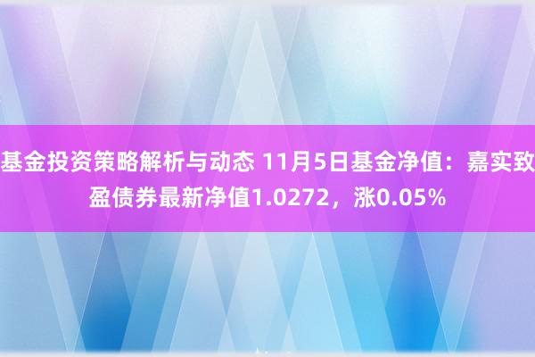 基金投资策略解析与动态 11月5日基金净值：嘉实致盈债券最新净值1.0272，涨0.05%